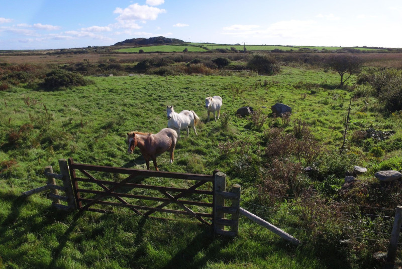 The fields next to the cottage