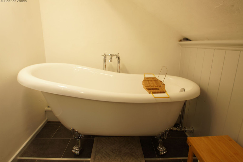Bathroom with large slipper bath, toilet, basin and heated towel rail