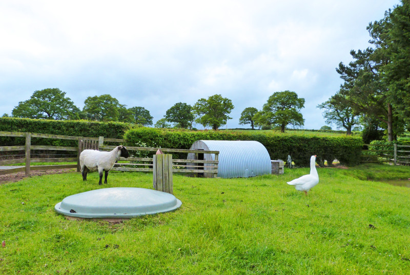 The self catering cottage is situated on a working farm, 2 miles from the nearest village