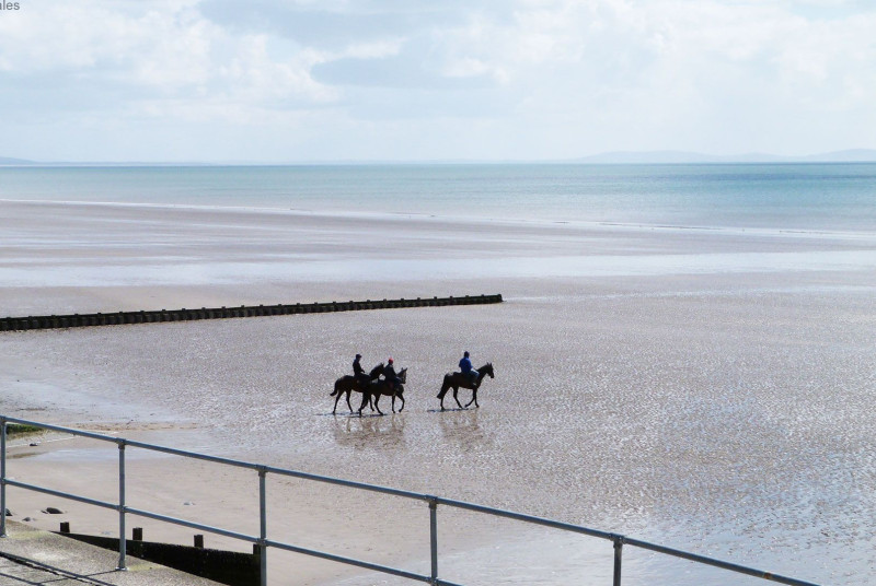 Horses walking across Amroth Beach