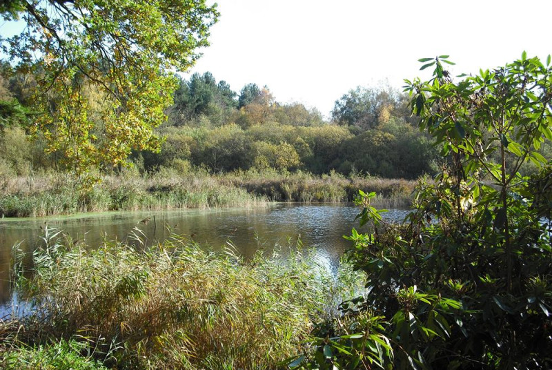 The countryside on your doorstep