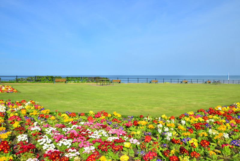 Beautiful floral display and views to the sea.