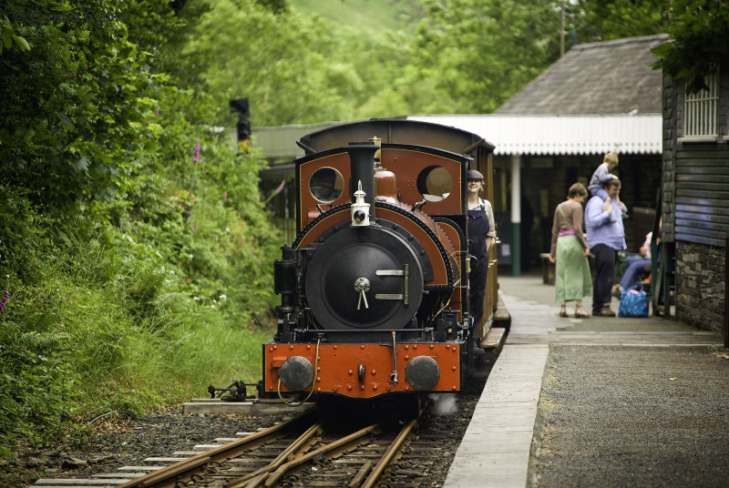 Step on to the narrow gauge steam train at Dolgoch Falls (8 miles)