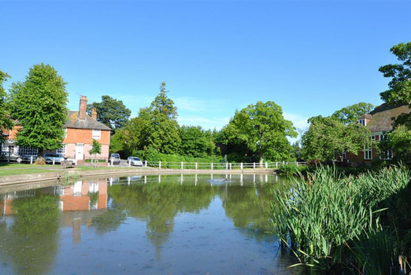 Goudhurst Village Pond