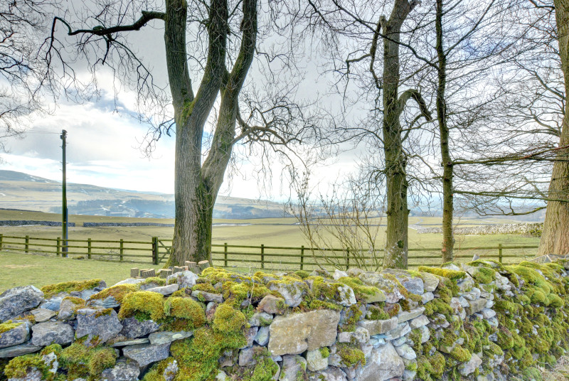 view from the cottage