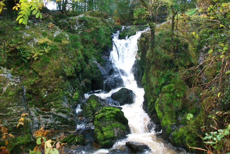Extensive grounds including a waterfall in front of the cottage