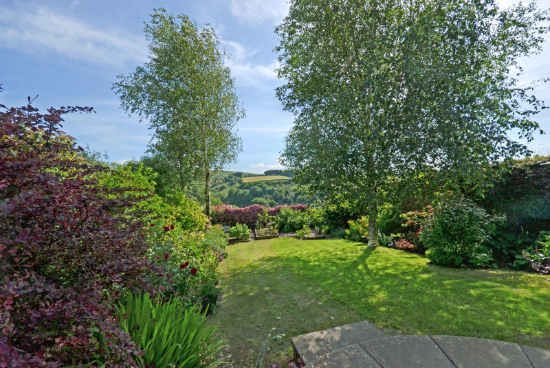 The beautiful mature garden