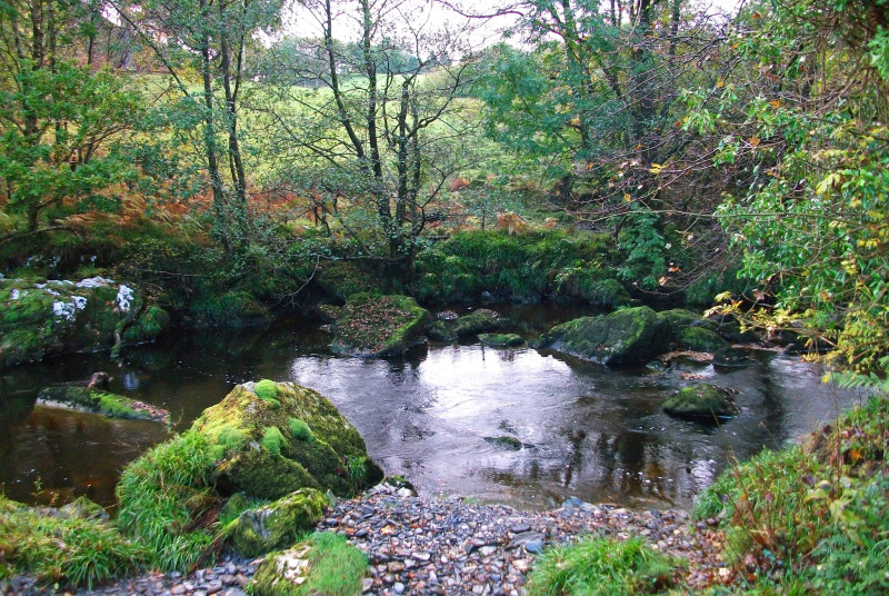 Luxury holiday cottage with its own gravel beach onto gin clear river