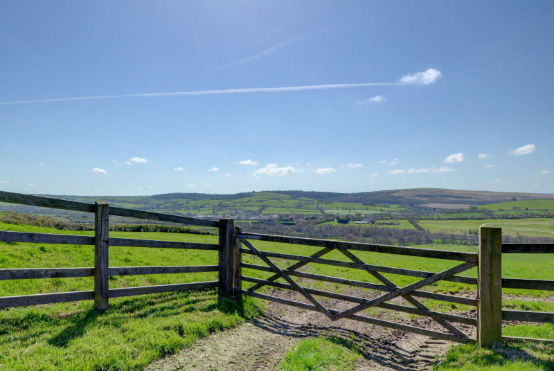 There are plenty of wonderful walks straight from the doorstep 