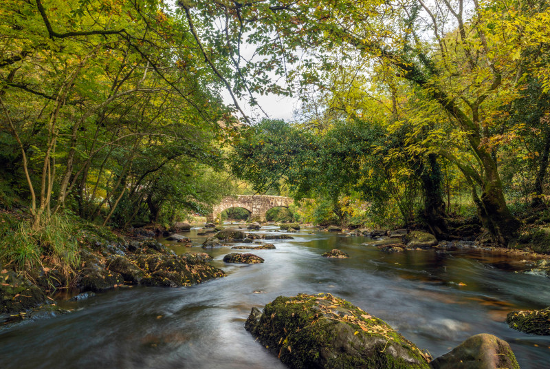 Landscape Depicting the River Teign on Dartmoor National Park