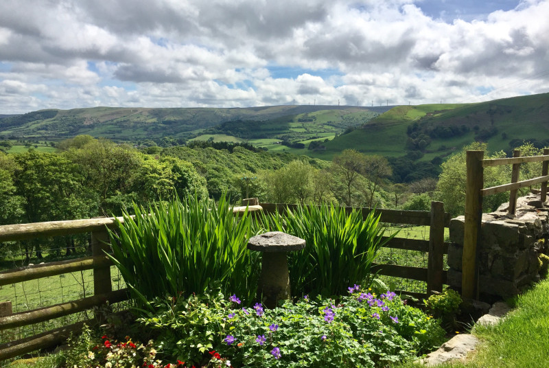 The view from the doorstep...