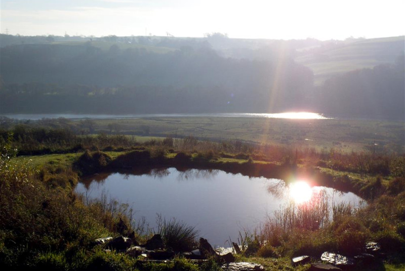 Pond in the owners' grounds near the estuary