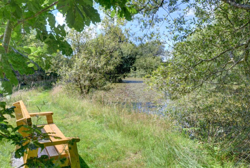 WAG558 - Shared Grounds and Lake View 1