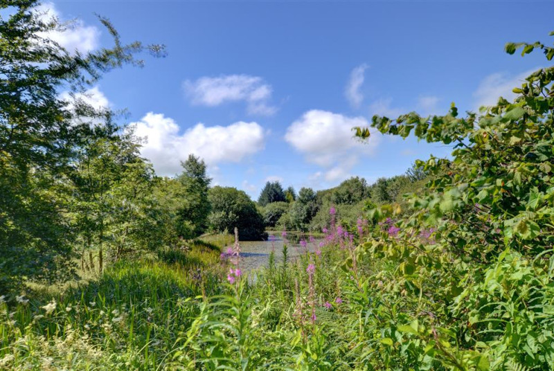 WAG558 - Shared Grounds and Lake View 2