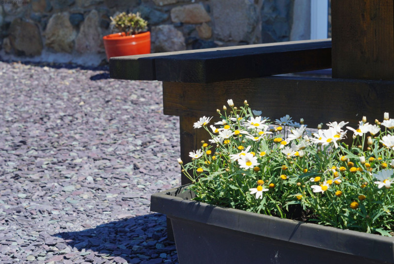 The patio is perfectly located to capture the sea & countryside views