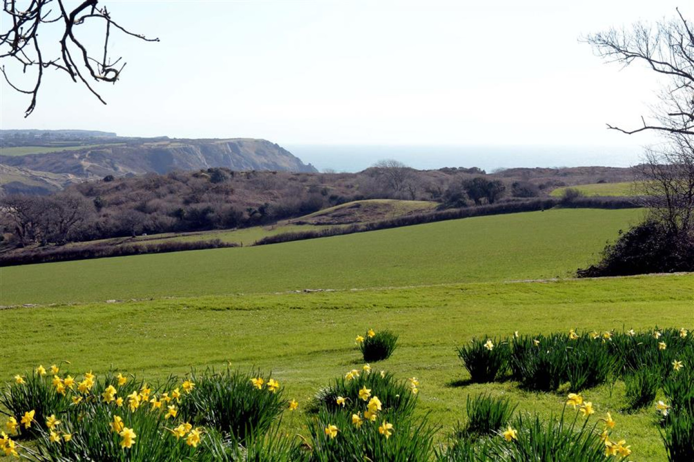 Penmaen House (PW353) Powells Cottage Holidays