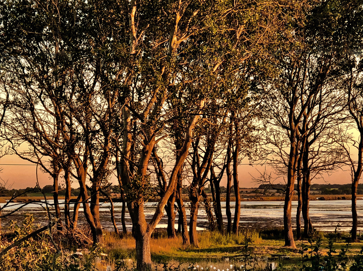 Marsh View (MARSH) Suffolk Secrets