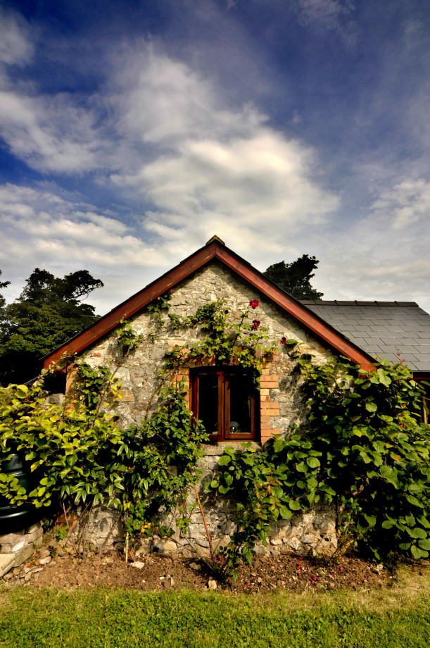 DanyGraig (46777) Best of Wales DanyGraig (46777) Best of Wales
